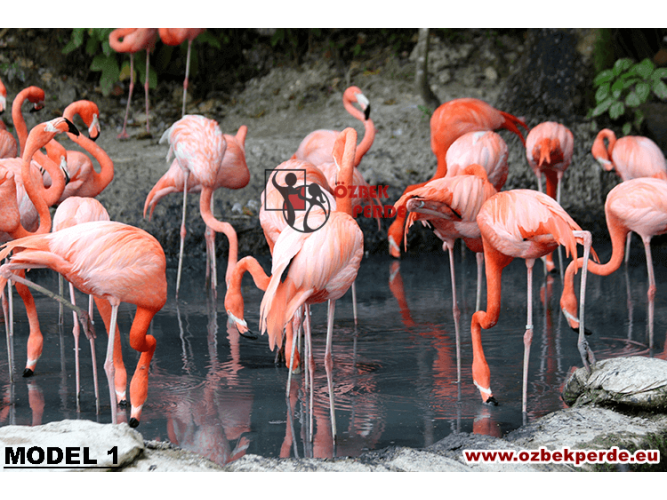 Flamingo Baskılı Halı